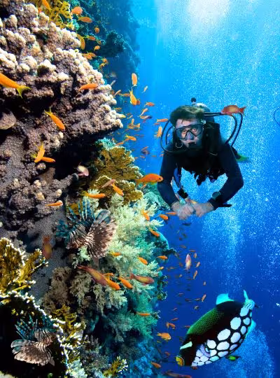 Дайвинг Мероприятия Дайвинг Мероприятия